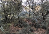 Suelo urbano en venta en la España, Dúdar, ref: TR202799 foto