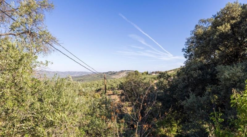 Granada - Montefrío - 4873m2