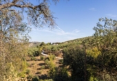 Casa de campo con terreno en venta en la España, Montefrío, ref: TR400933 foto