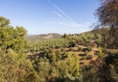 Casa de campo con terreno en venta en la España, Montefrío, ref: TR400933 foto