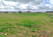 Terreno no urbanizable en venta en la España, Almansa, ref: TR395213 foto