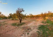 Terreno no urbanizable en venta en la España, Gójar, ref: TR396068 foto