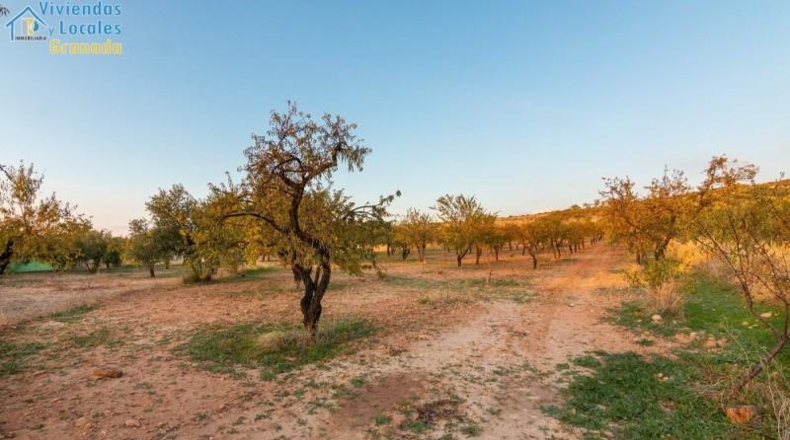 Huelva - Уэльва - 15000m2