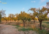 Terreno no urbanizable en venta en la España, Gójar, ref: TR396068 foto