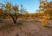 Terreno no urbanizable en venta en la España, Gójar, ref: TR396068 foto