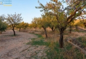 Terreno no urbanizable en venta en la España, Gójar, ref: TR396068 foto