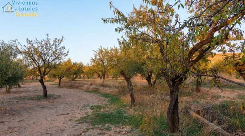 Huelva - Уэльва - 15000m2