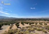 Terreno no urbanizable en venta en la España, Gójar, ref: TR396068 foto