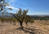 Terreno no urbanizable en venta en la España, Gójar, ref: TR396068 foto