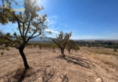Terreno no urbanizable en venta en la España, Gójar, ref: TR396068 foto