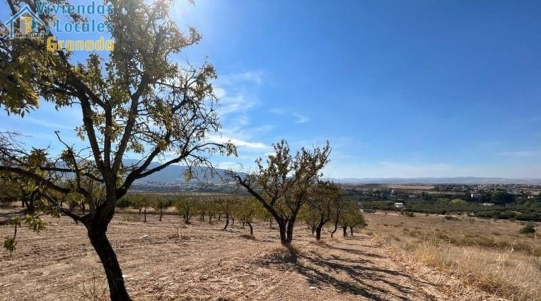 Huelva - Уэльва - 15000m2