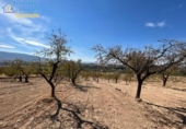 Terreno no urbanizable en venta en la España, Gójar, ref: TR396068 foto