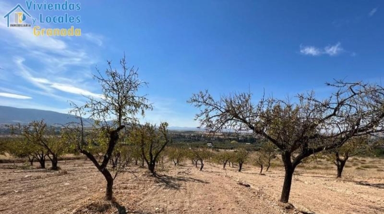 Huelva - Уэльва - 15000m2