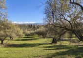 Terreno no urbanizable en venta en la España, Alfacar, ref: TR383839 foto