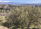 Terreno no urbanizable en venta en la España, Alfacar, ref: TR383839 foto