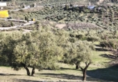 Terreno no urbanizable en venta en la España, Alfacar, ref: TR383839 foto