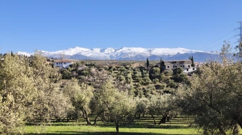 Granada - Alfacar - 10500m2