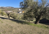 Terreno no urbanizable en venta en la España, Alfacar, ref: TR383839 foto