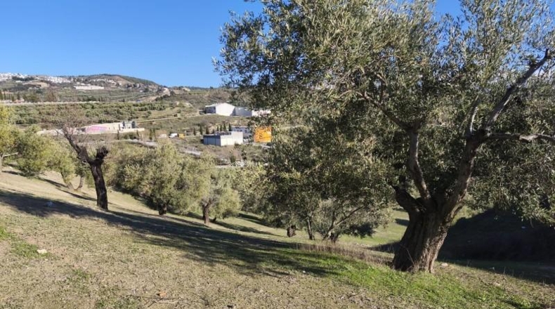 Granada - Alfacar - 10500m2