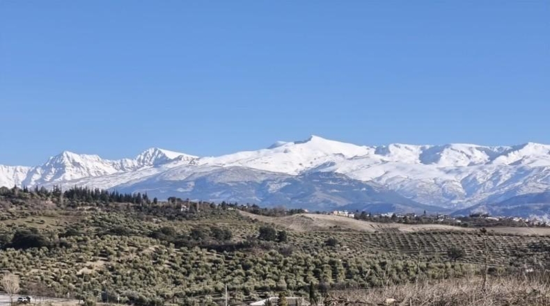 Granada - Alfacar - 10500m2