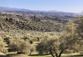 Terreno no urbanizable en venta en la España, Alfacar, ref: TR383839 foto