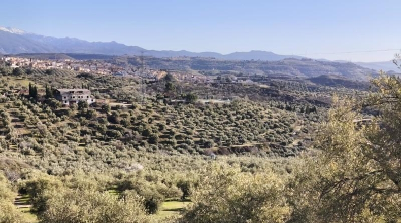 Granada - Alfacar - 10500m2