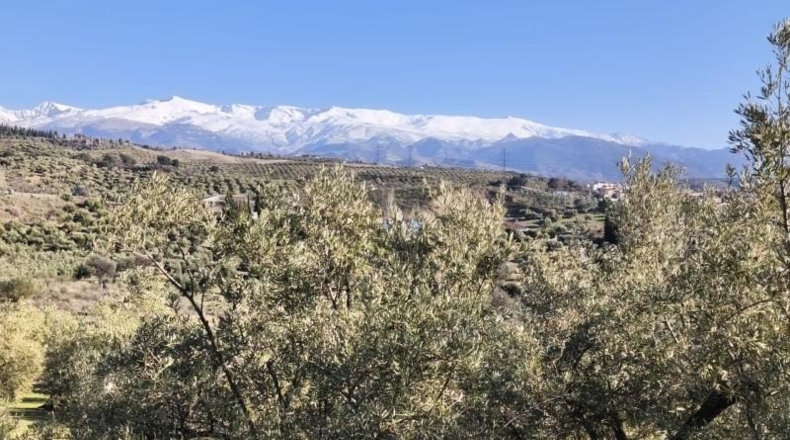 Granada - Alfacar - 10500m2