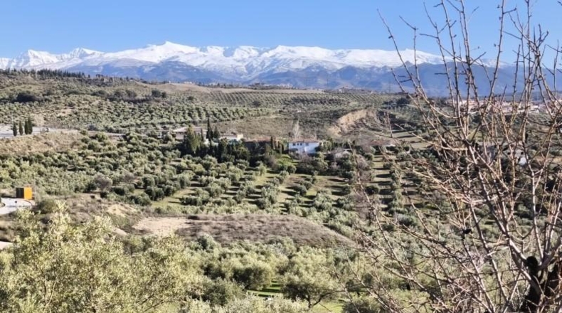 Granada - Alfacar - 10500m2