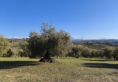 Terreno no urbanizable en venta en la España, Alfacar, ref: TR383839 foto