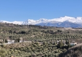 Terreno no urbanizable en venta en la España, Alfacar, ref: TR383839 foto