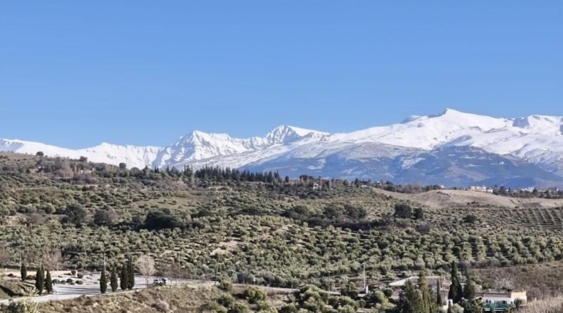 Granada - Alfacar - 10500m2