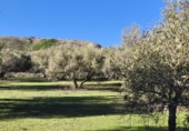 Terreno no urbanizable en venta en la España, Alfacar, ref: TR383839 foto