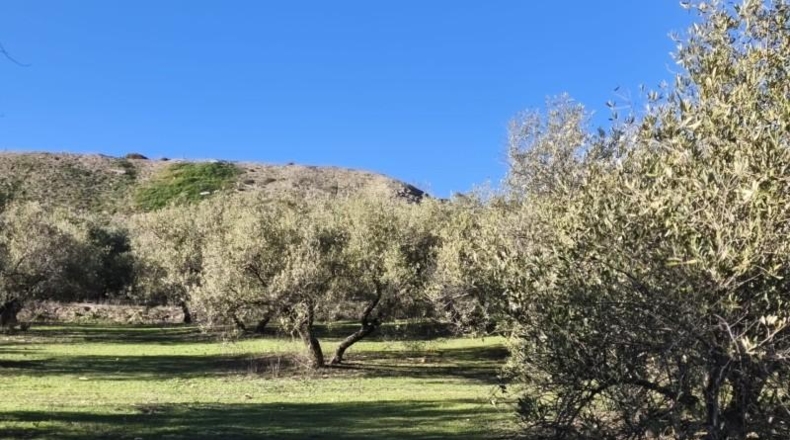 Granada - Alfacar - 10500m2