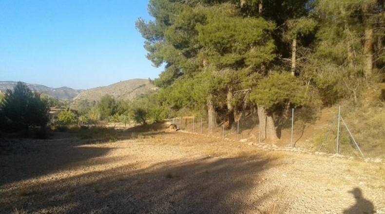 Alicante - la Romana - 3340m2
