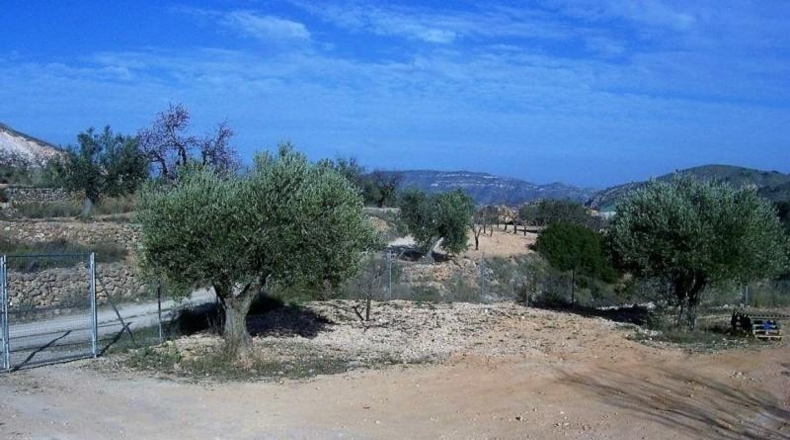 Alicante - la Romana - 3340m2