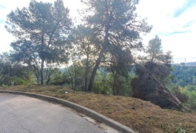 Foto 14