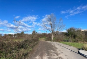 Pola de Siero 4332&nbsp;m²