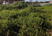 Land suitable for development for sale on España, El Carpio, ref: TR310937 photo