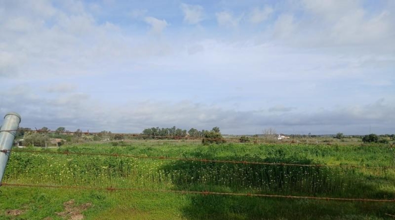 Huelva - Gibraleón - 13765m2