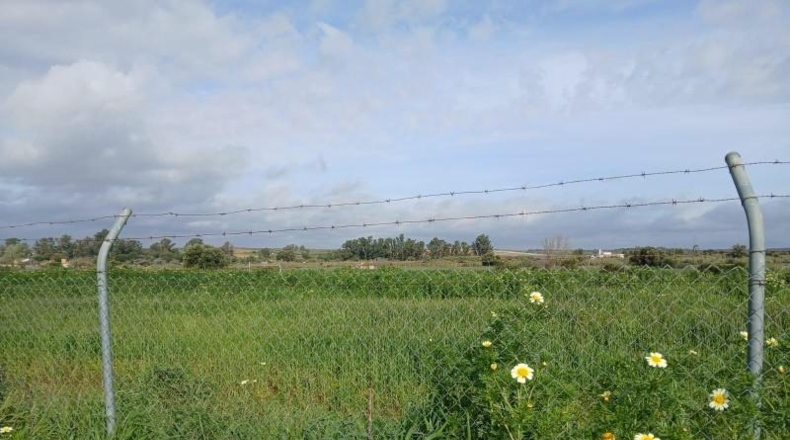 Huelva - Gibraleón - 13765m2