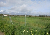 Parcel·la urbanitzable en venda a la España, Gibraleón, ref.: TR224527 foto
