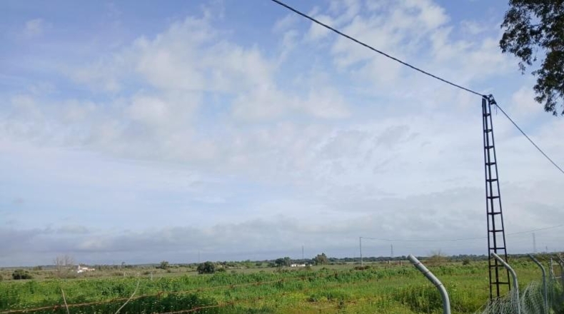 Huelva - Gibraleón - 13765m2