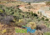 Terreno no urbanizable en venta en la España, Almuñécar, ref: TR126335 foto