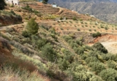 Terreno no urbanizable en venta en la España, Almuñécar, ref: TR126335 foto
