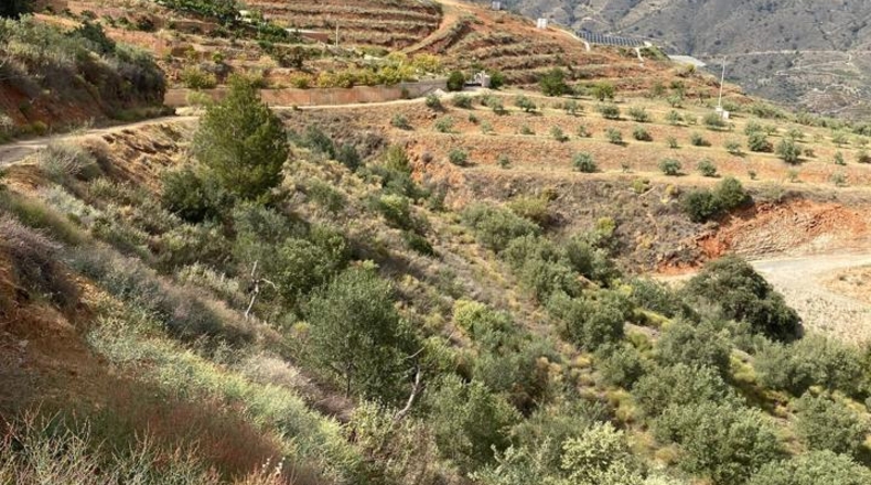 Granada - Almuñécar - 16159m2