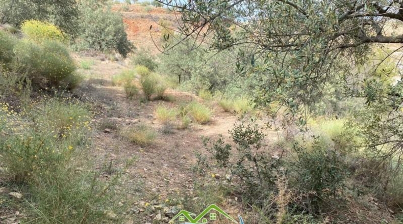 Granada - Almuñécar - 16159m2