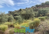 Terreno no urbanizable en venta en la España, Almuñécar, ref: TR126335 foto