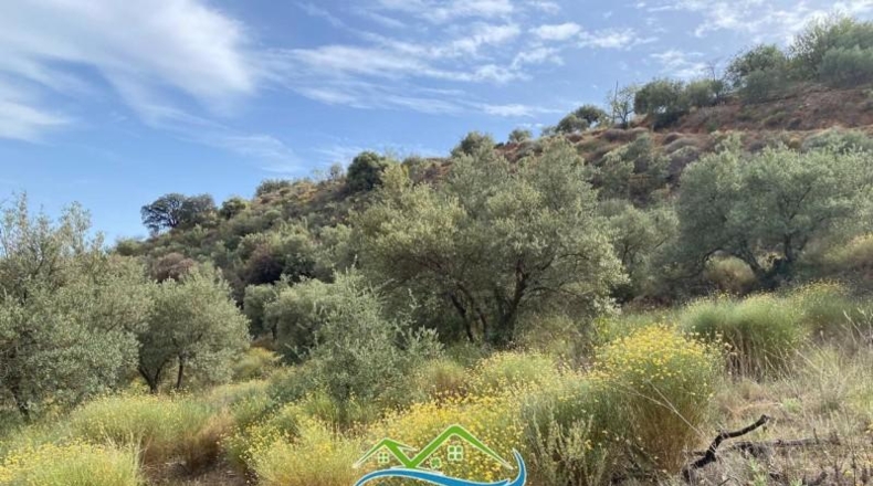 Granada - Almuñécar - 16159m2