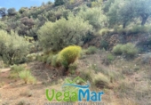 Terreno no urbanizable en venta en la España, Almuñécar, ref: TR126335 foto