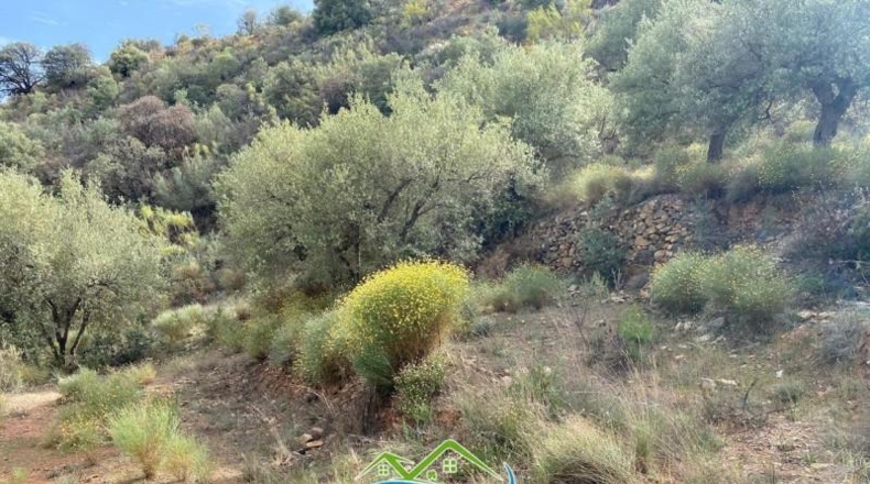 Granada - Almuñécar - 16159m2